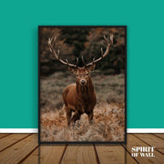 Red Deer | Animal Wall Art