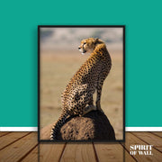 Adult Cheetah Portrait | Animal Wall Art