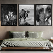 Black and white wild life portrait | 3 Panel | Animals Wall Art