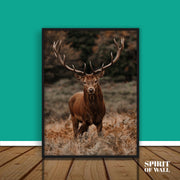 Reindeer in Forest Poster | Animals Wall Art